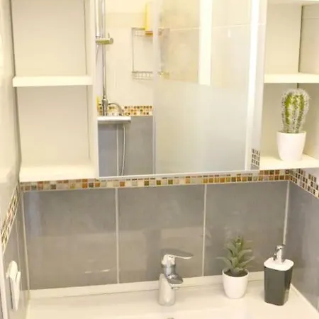 Apartment Center 2 2 Salles De Bain Montpellier